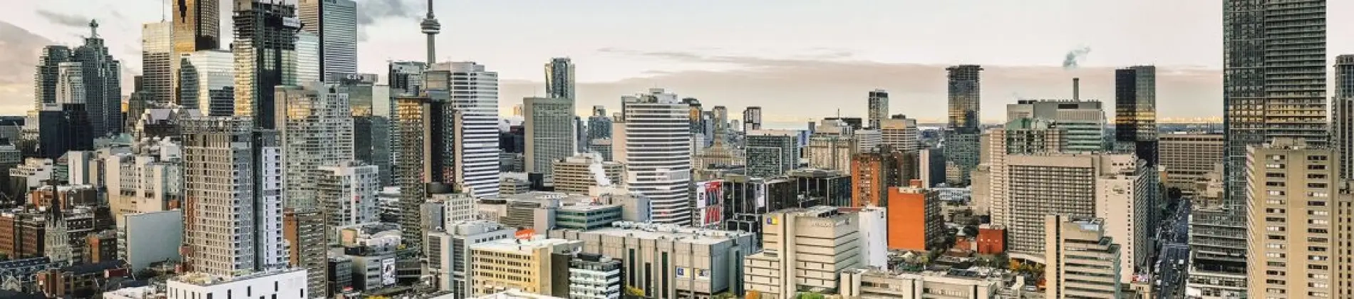 Accounting & Finance (BComm)